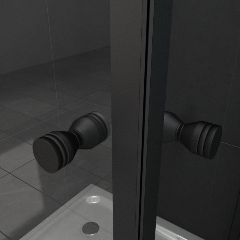 Cabina Ego-Nemo, 2 usi batante, negru mat, sticla 8 mm, 80x80x195 cm, tratament Nano Easy Clean