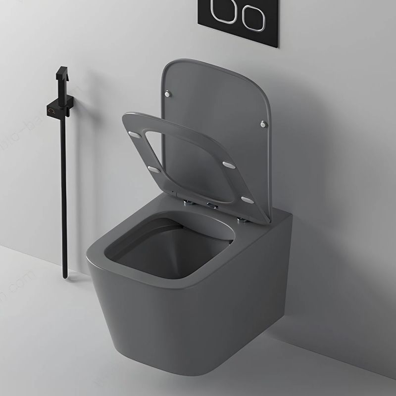 Set vas wc si lavoar, Gri Mat, Power Color, 51x35-50x40 cm, montaj suspendat si pe blat, capac duroplast, Alfonso