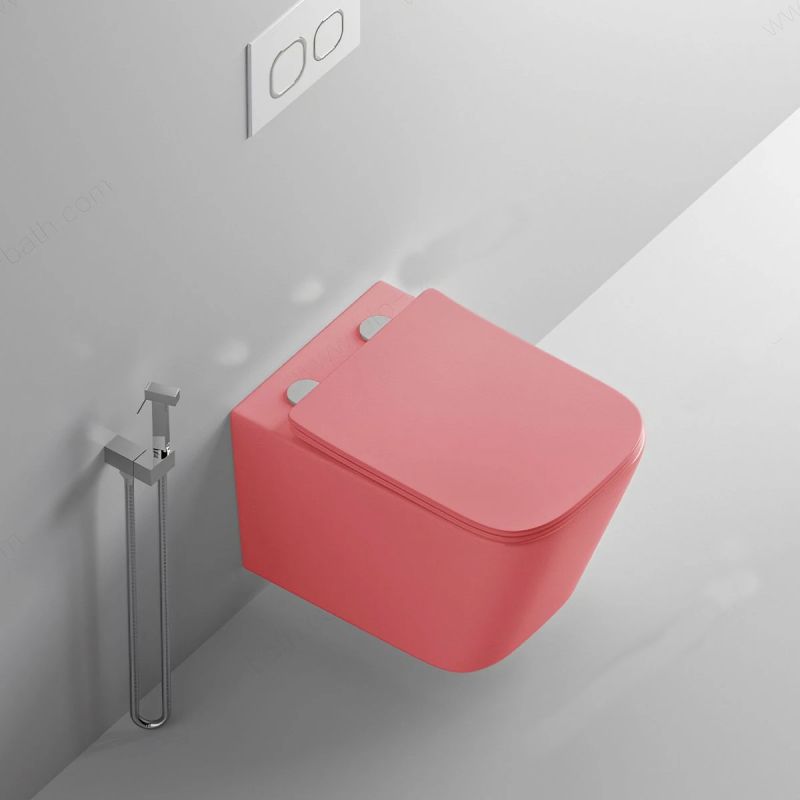Set vas wc si lavoar, Roz Somon Mat, Power Color, 51x35-50x40 cm, montaj suspendat si pe blat, capac duroplast, Alfonso