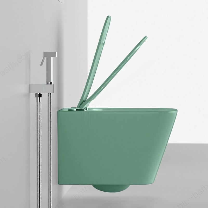 Set vas wc si lavoar, Vede Mint Mat, Power Color, 51x35-50x40 cm, montaj suspendat si pe blat, capac duroplast, Alfonso