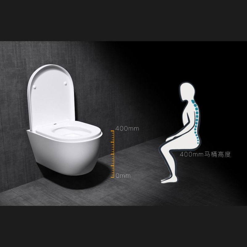 Vas Wc EGO-106, Alb, suspendat, capac Duroplast inclus, 48x35.5 cm