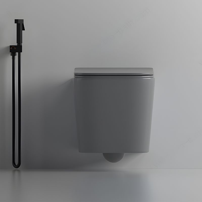 Vas WC Rimless, Gri Mat, Power Color,  montaj suspendat, capac duroplast slim soft-close inclus, Alfonso