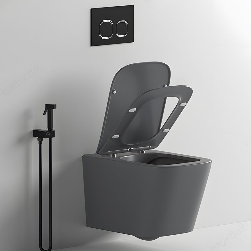 Vas WC Rimless, Gri Mat, Power Color,  montaj suspendat, capac duroplast slim soft-close inclus, Alfonso