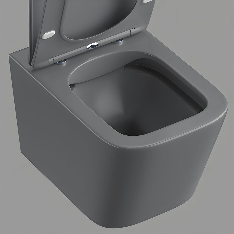 Vas WC Rimless, Gri Mat, Power Color,  montaj suspendat, capac duroplast slim soft-close inclus, Alfonso