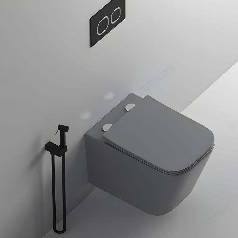 Vas WC Rimless, Gri Mat, Power Color,  montaj suspendat, capac duroplast slim soft-close inclus, Alfonso